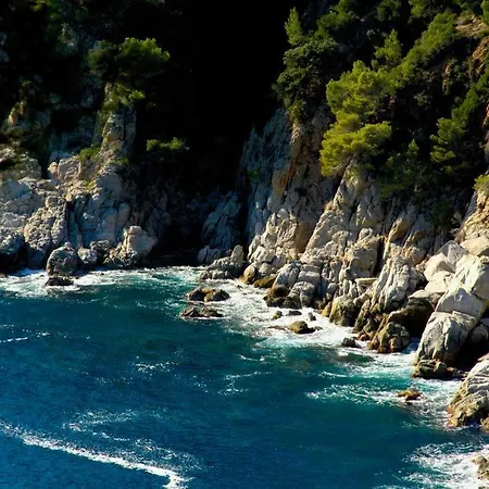 Senio 1 アパート *